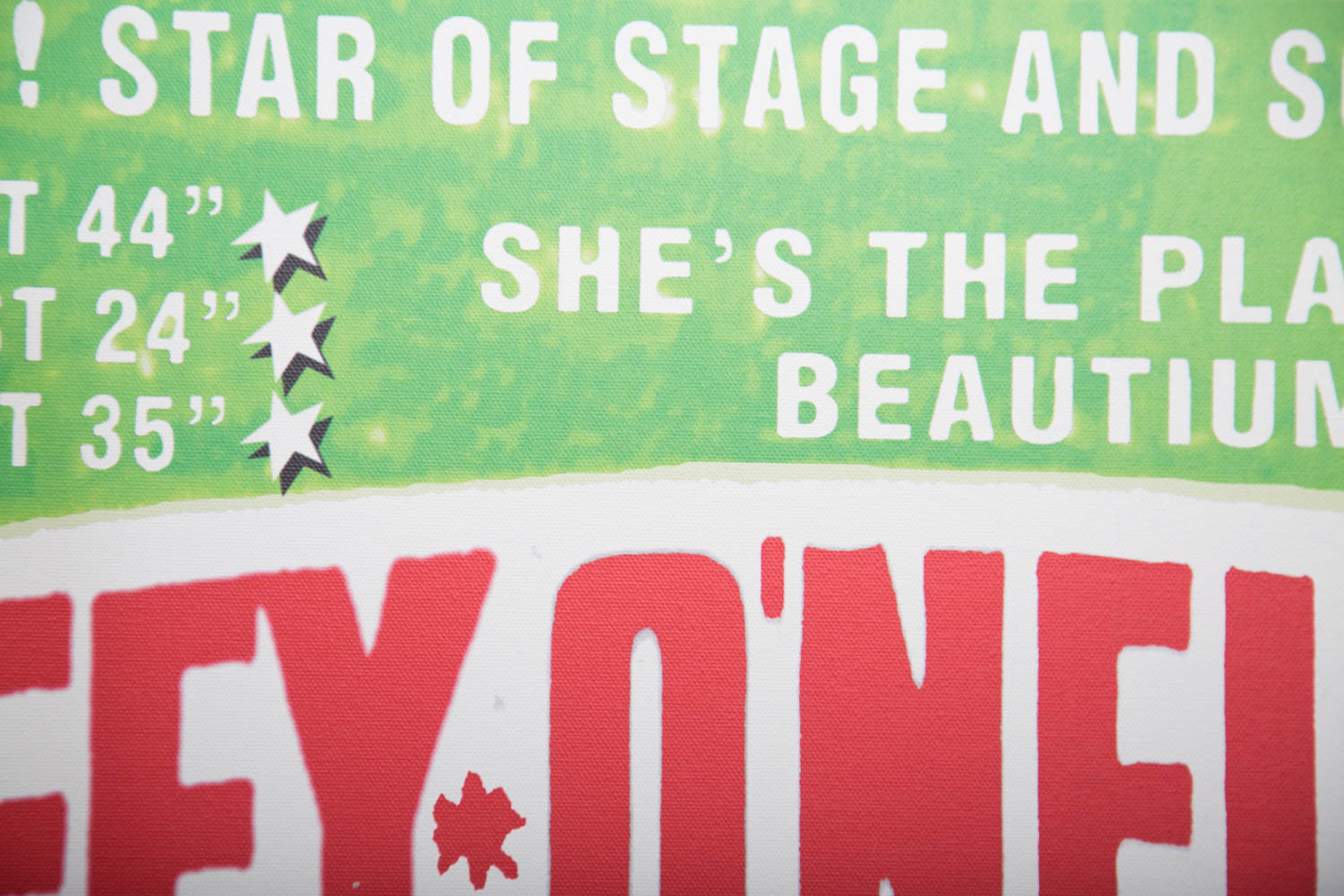 Andrew VanSickle "Town Hall Burlesque/Taffy O'Neil" Signed Industrial